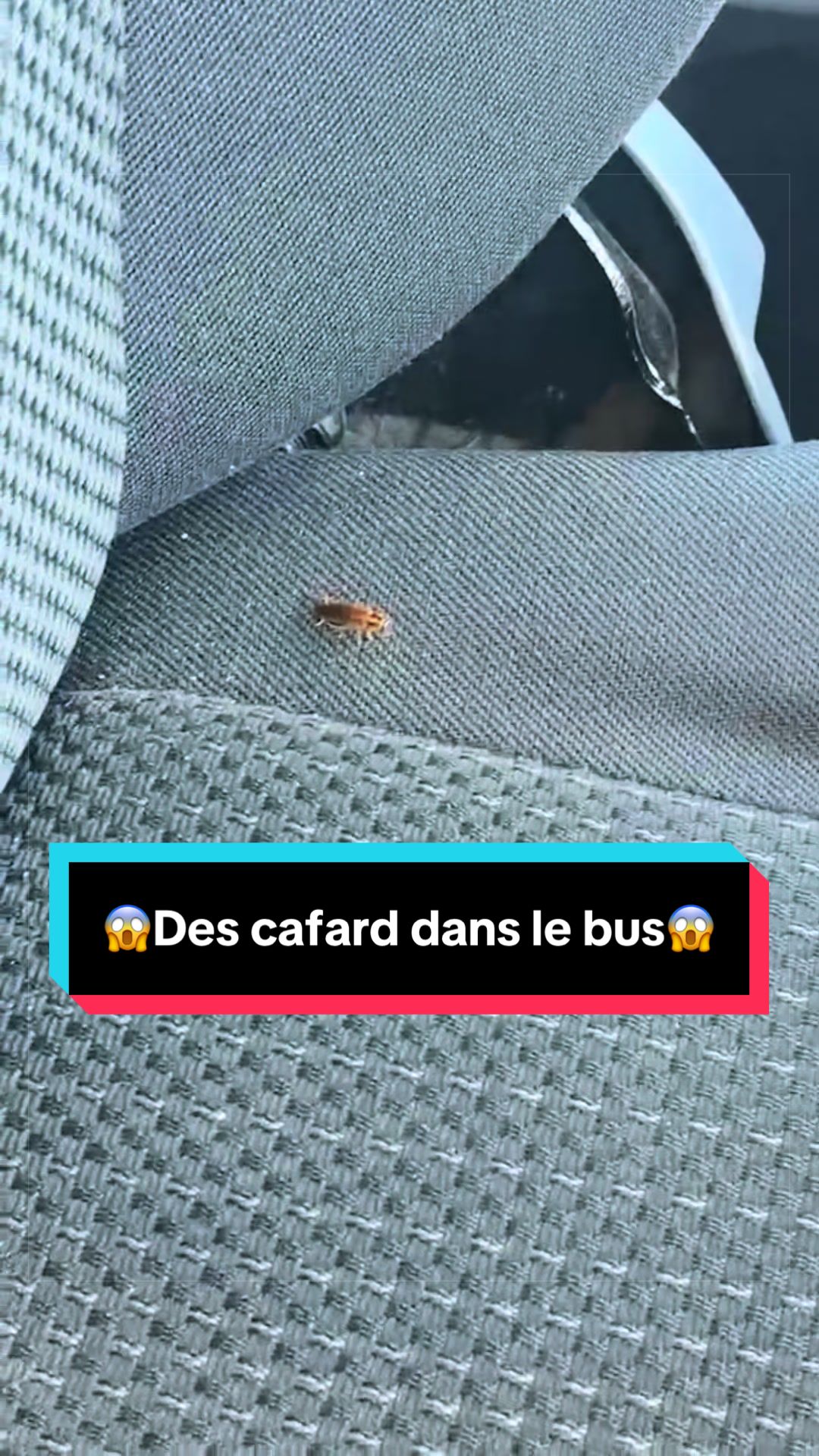 @Jaouad de Bagnolet Le Vrai ✅