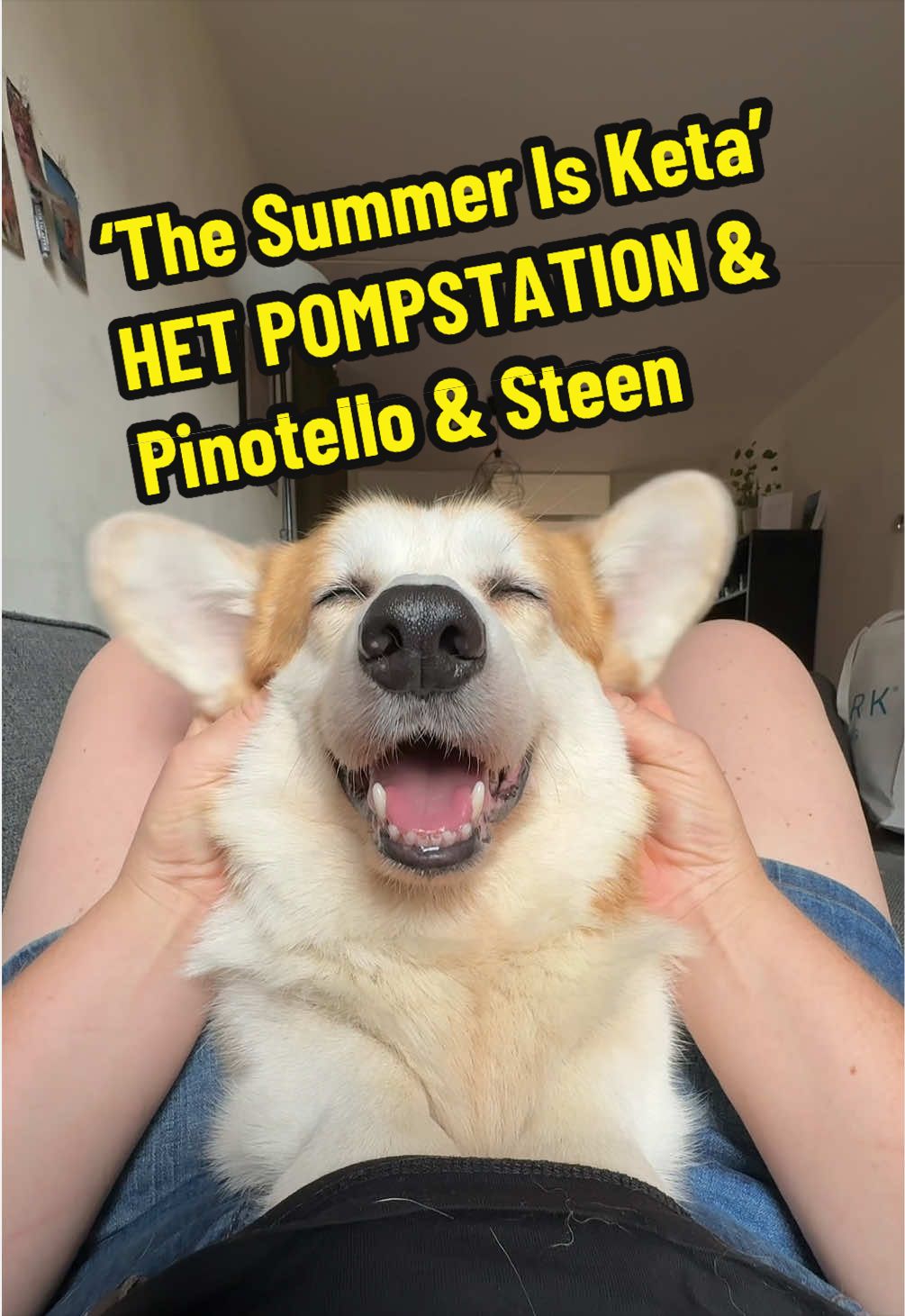 @Kickroll Corgi Charlie ๐ถ๐