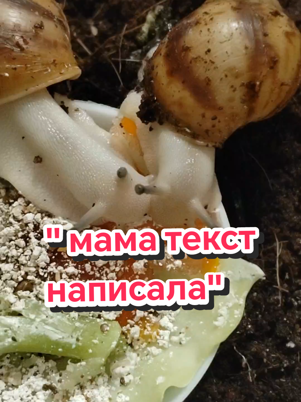 @angie🦋@