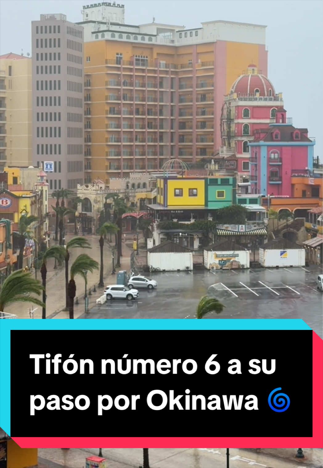 @Jap&oacute;n Alternativo