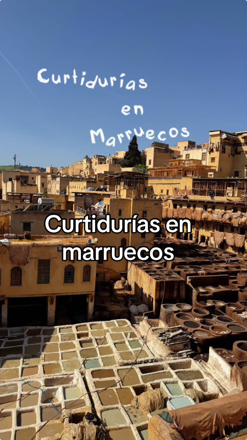 @Marta Baró