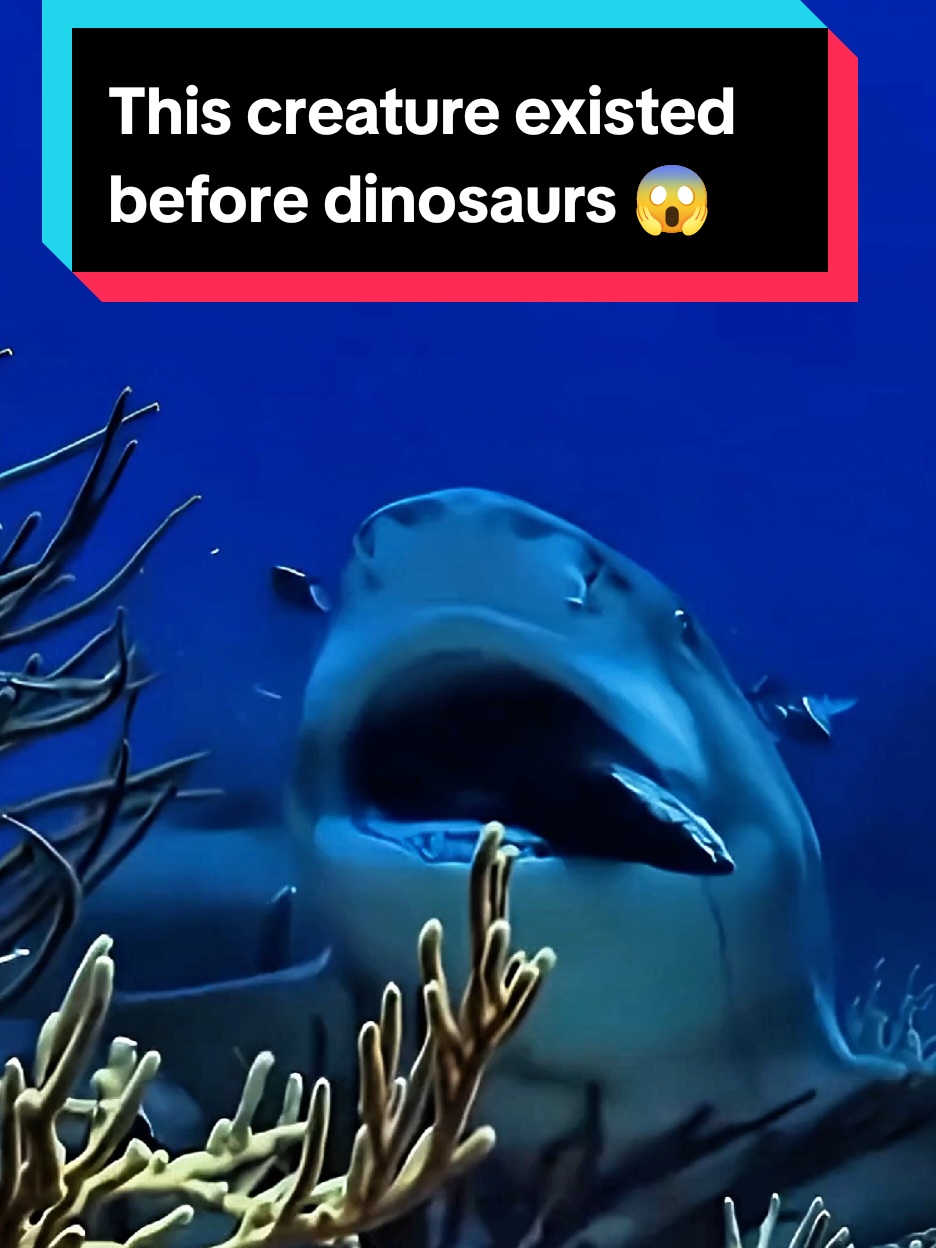 @Sea monsters