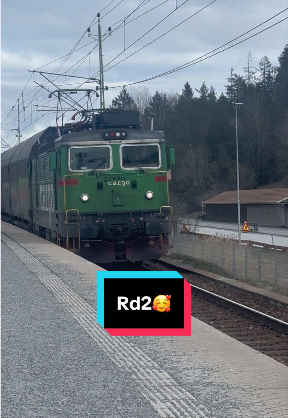 @đžThe Swedish Trainspotterđž