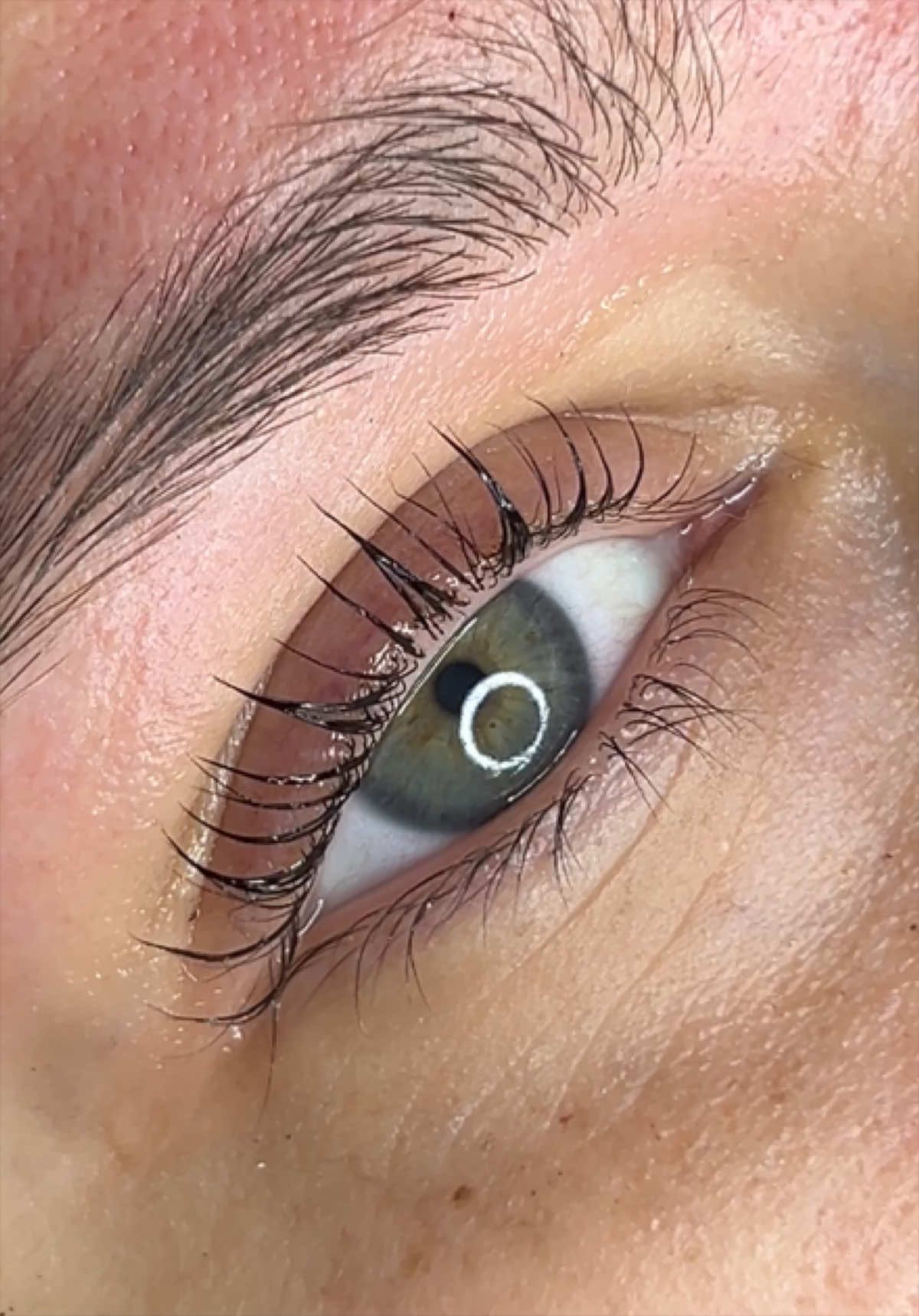 @theblushingstudio