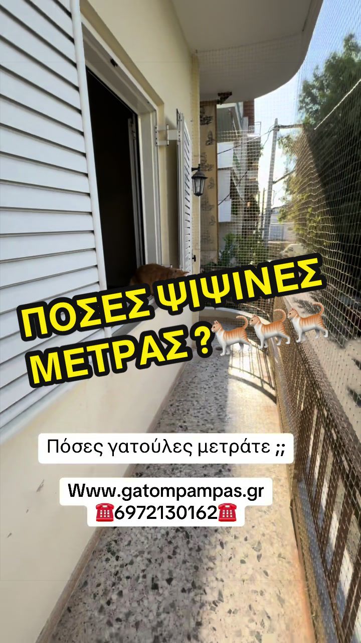 @GatompampasMastoras