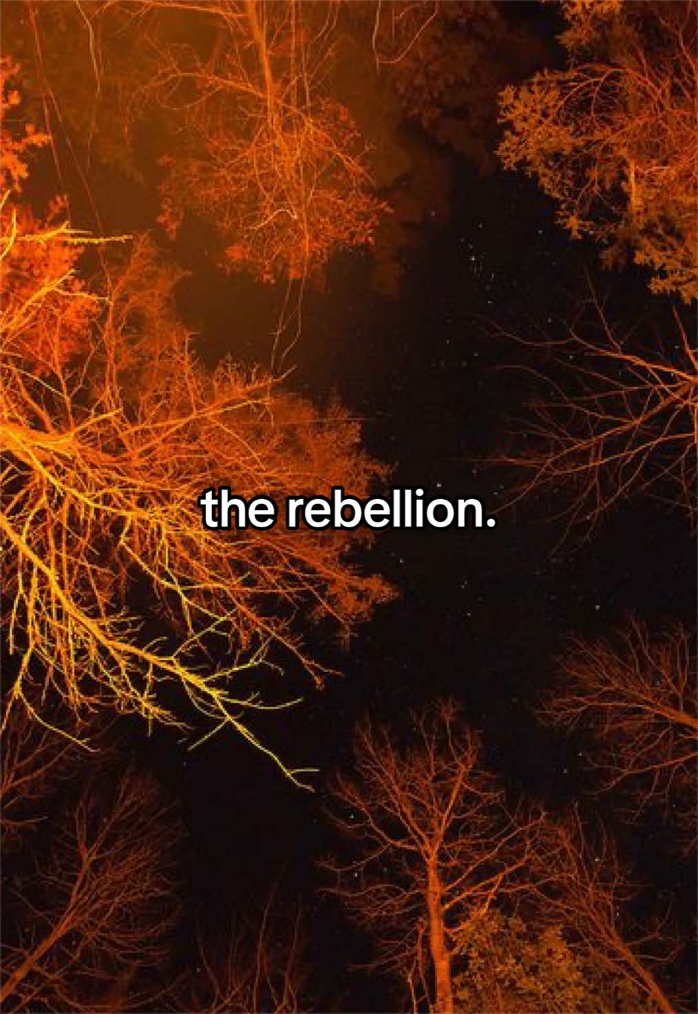 @cogito rebellion