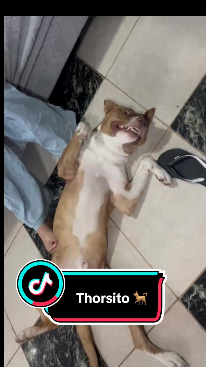 @〽️ati