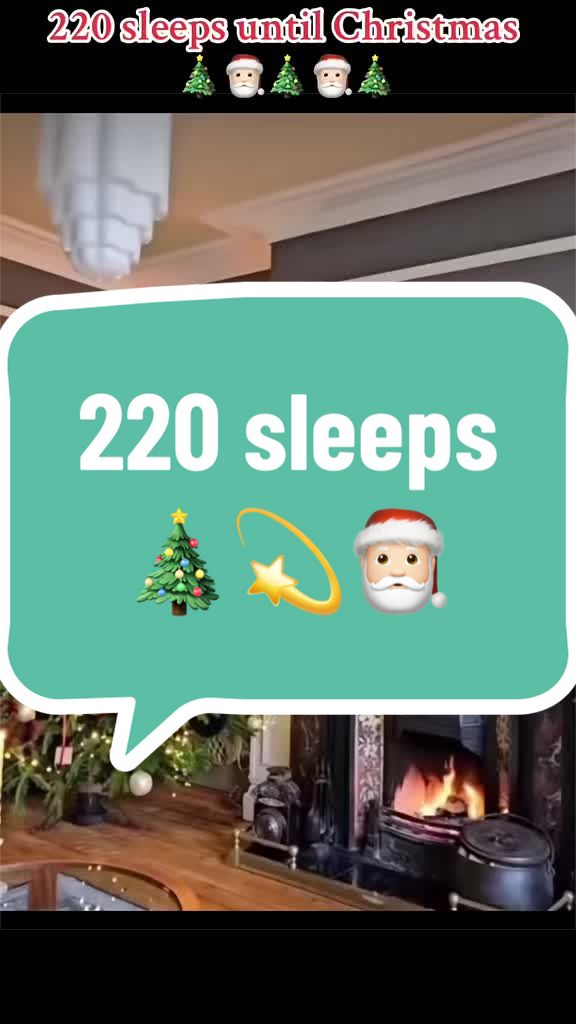 @Christmas&DisneyCrazyLady