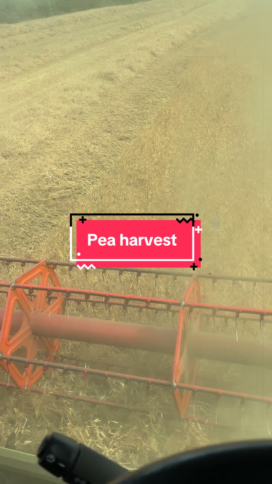 @Let’s farm Ireland