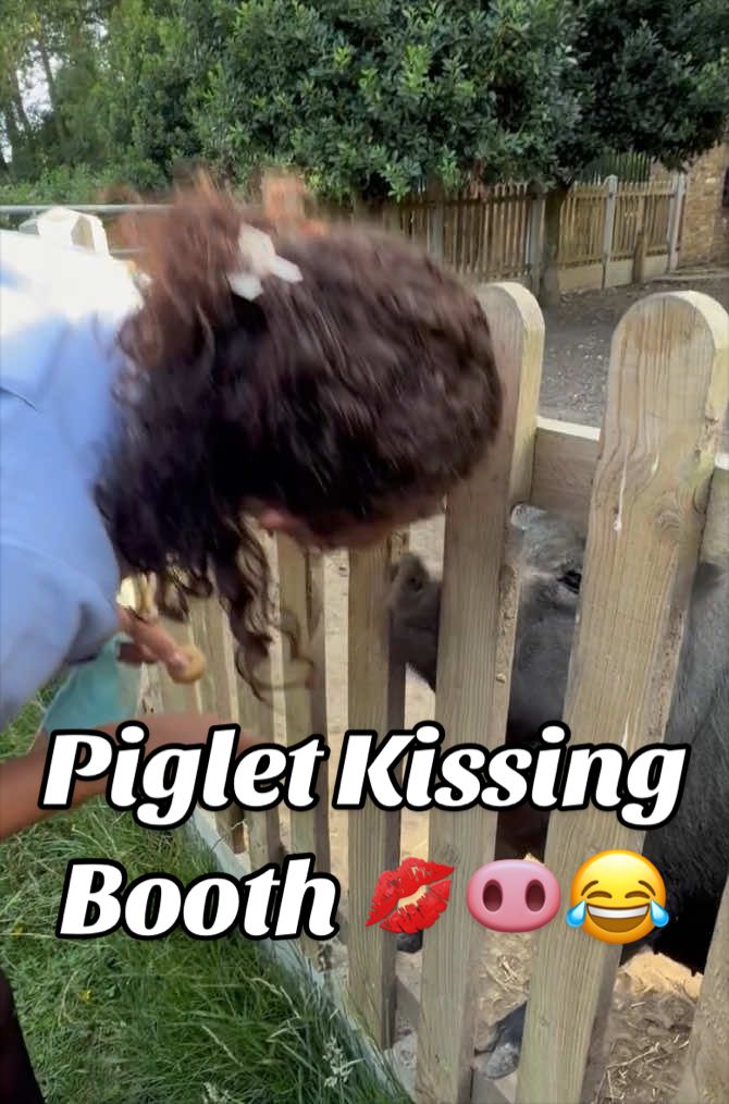 @AhimsaAnimalSanctuaryUK