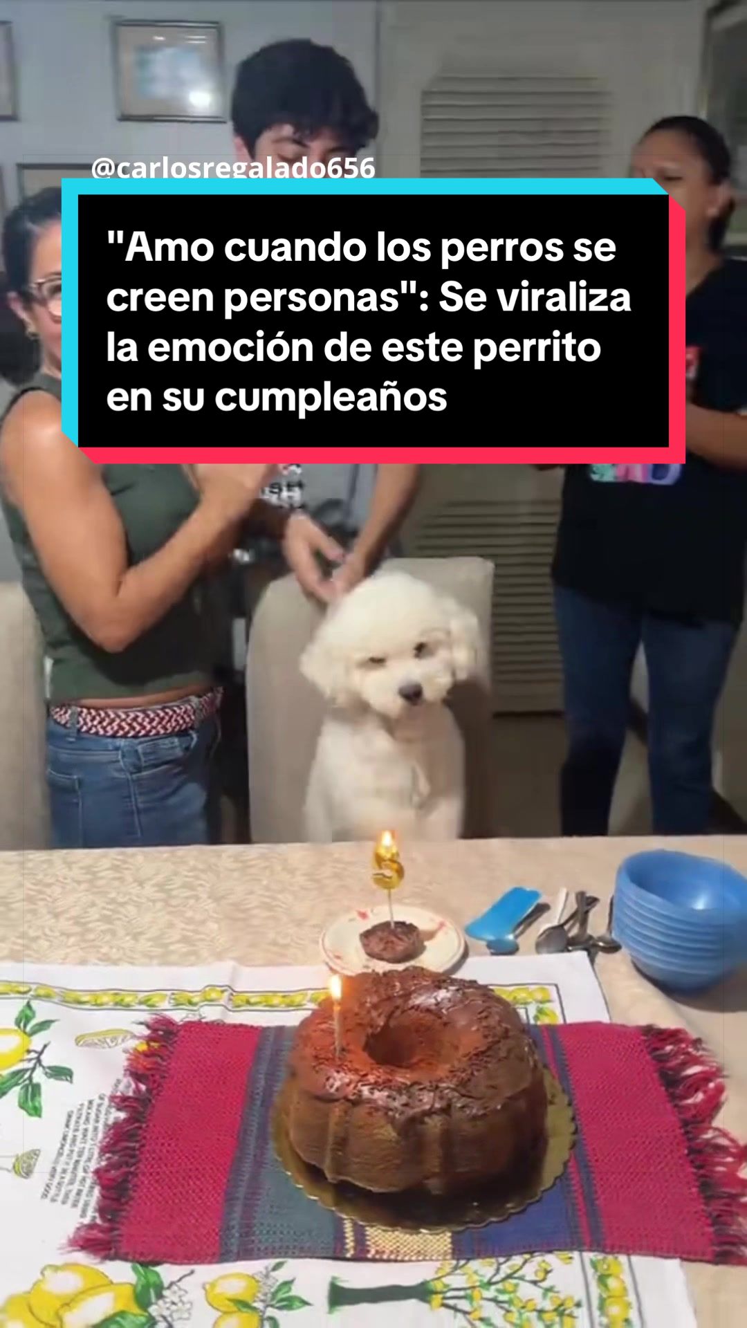 @EL ESPAÑOL 🦁