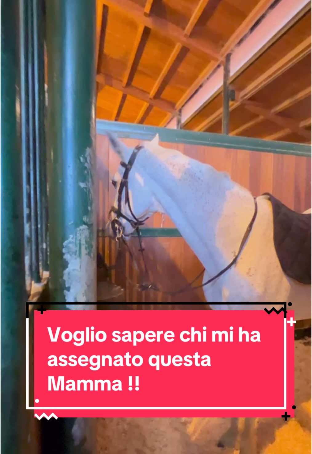 @Lapi Nicol Hr 🇮🇹