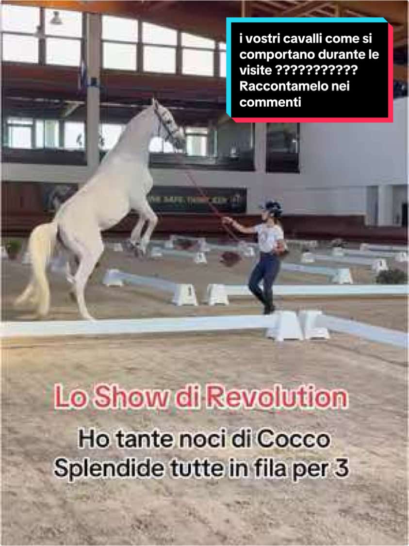 @Lapi Nicol Hr 🇮🇹