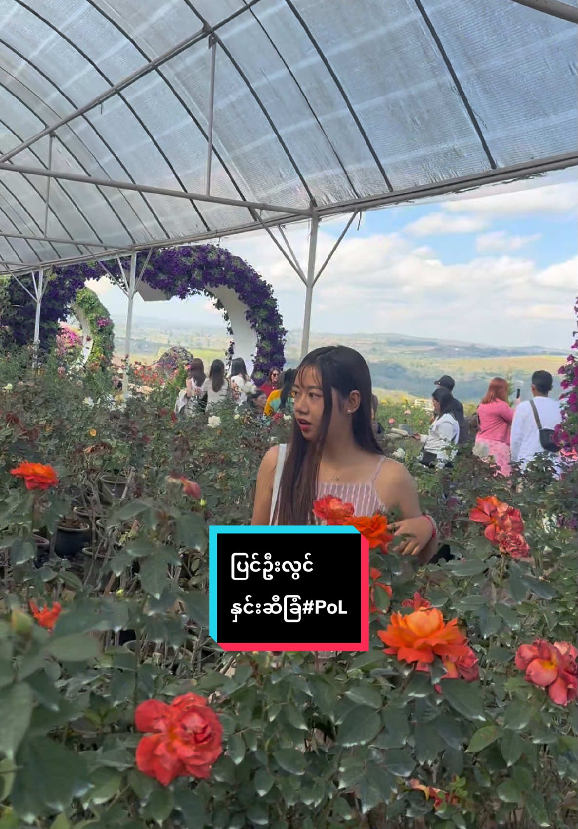 @Pansy ko( အေဖူး)