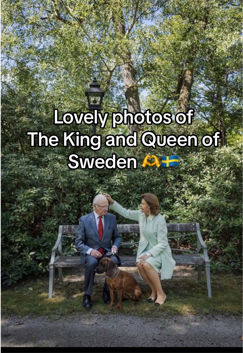 @Royal Påfugl