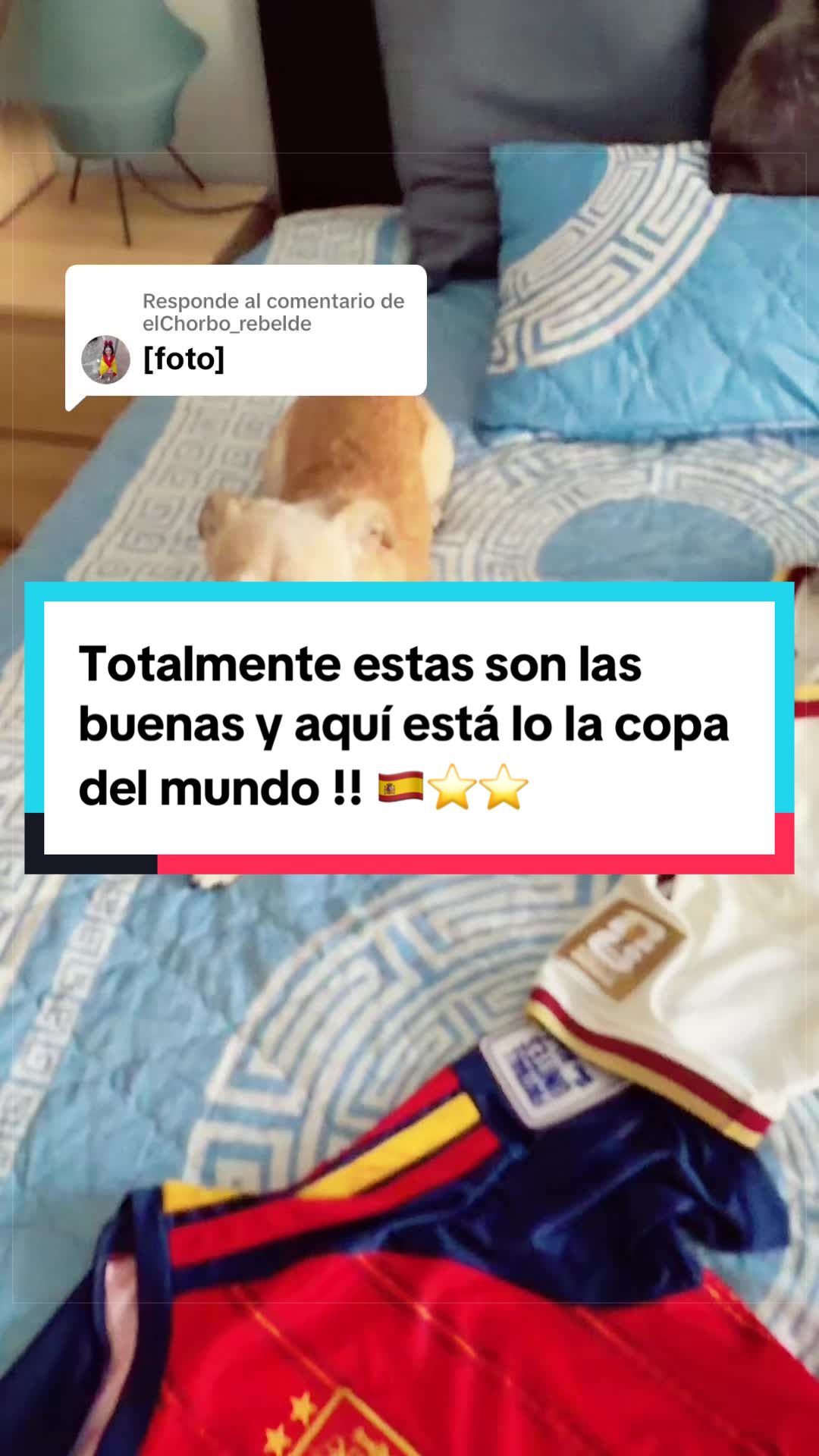 @liobcn7