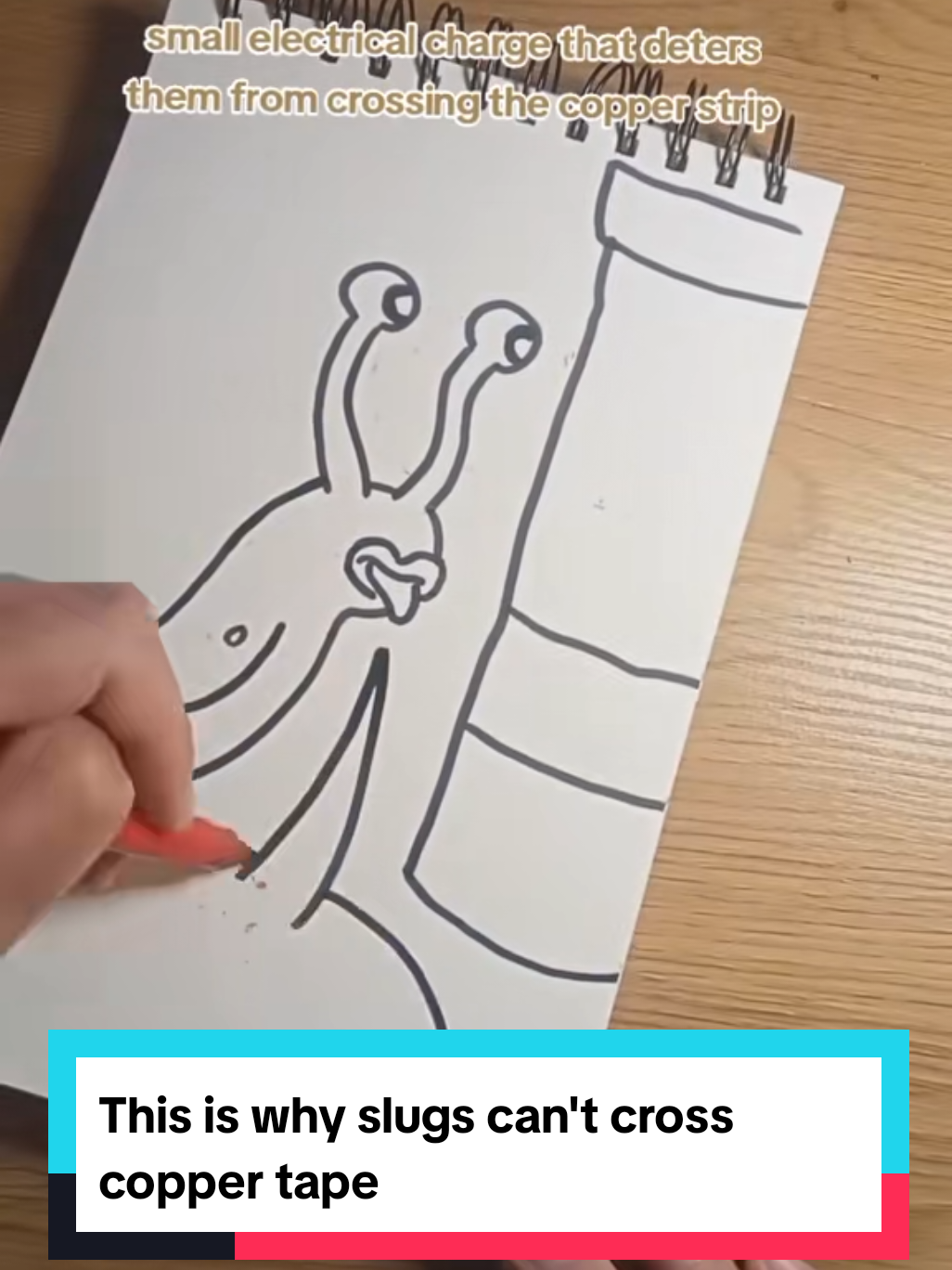 @illustration explains