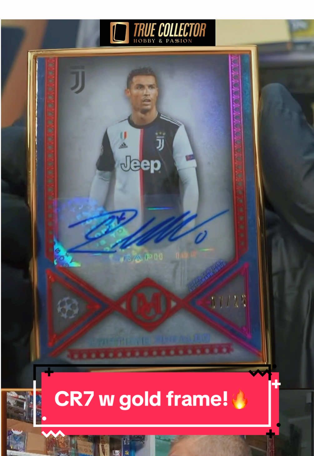 @True Collector Shoty