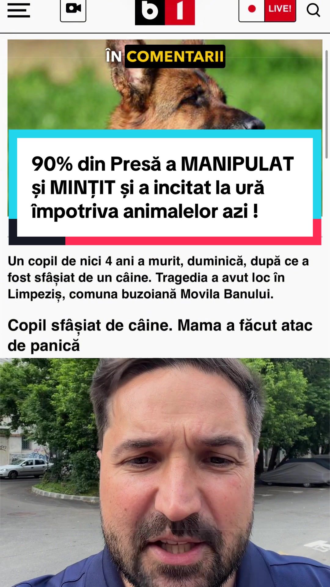 @Tudor-Tim Ionescu