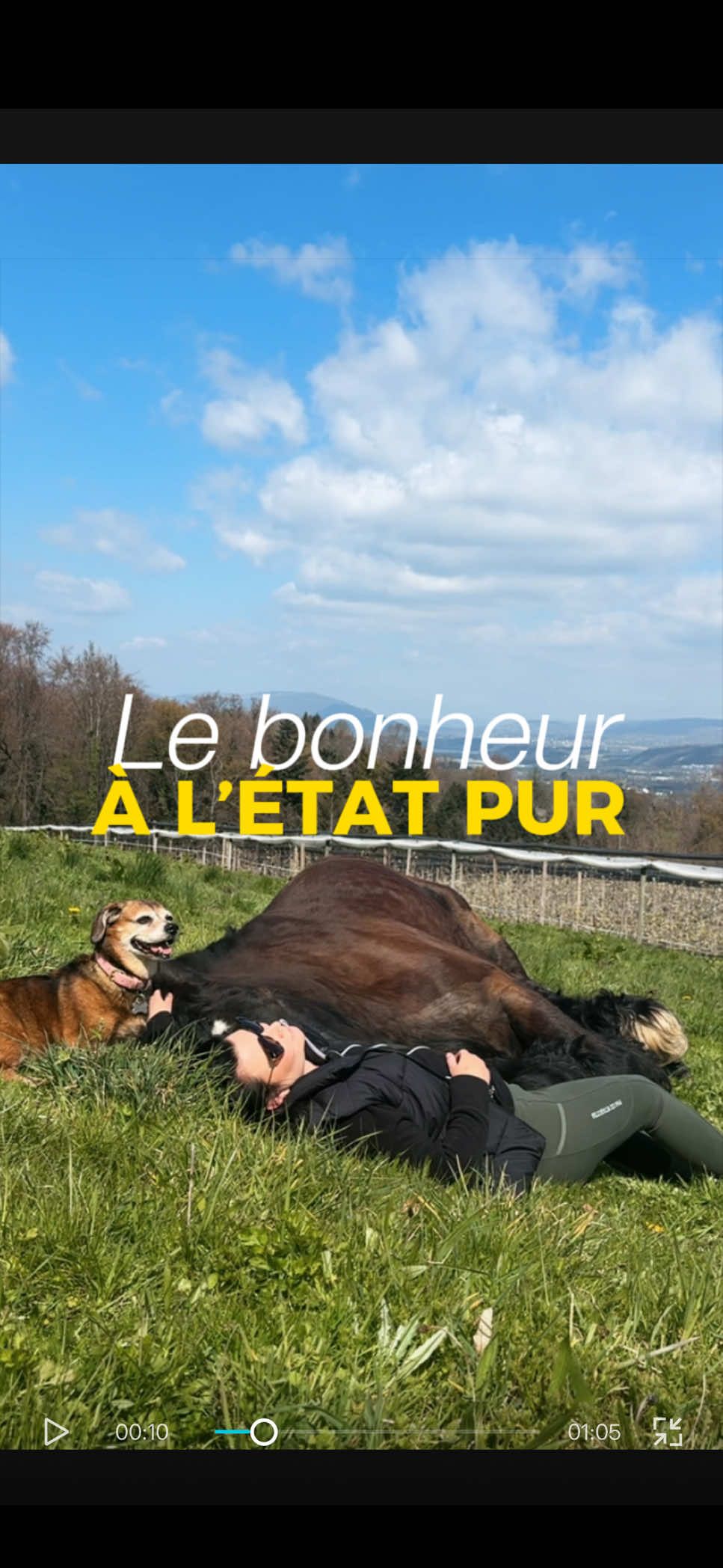 @Untraitdecheval