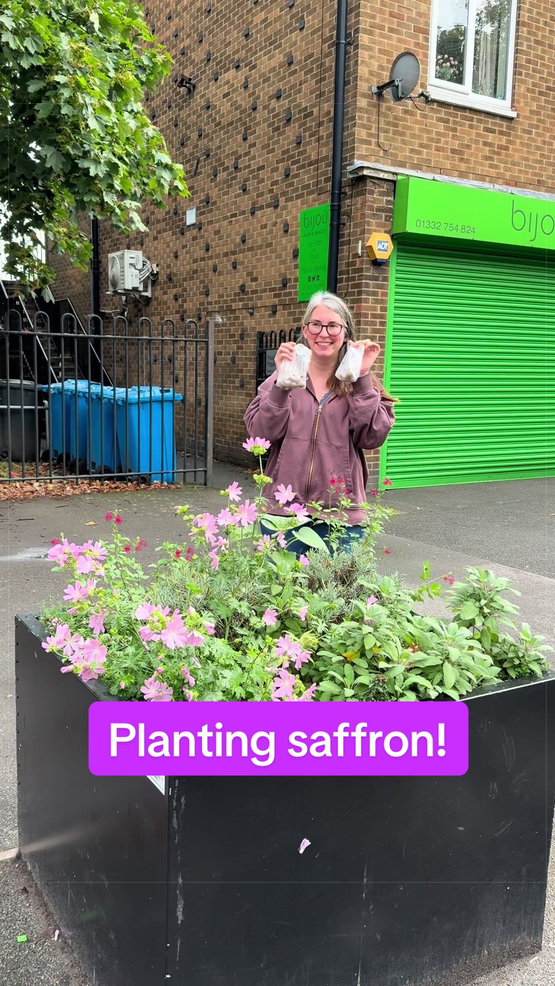 @ourlittleveggarden