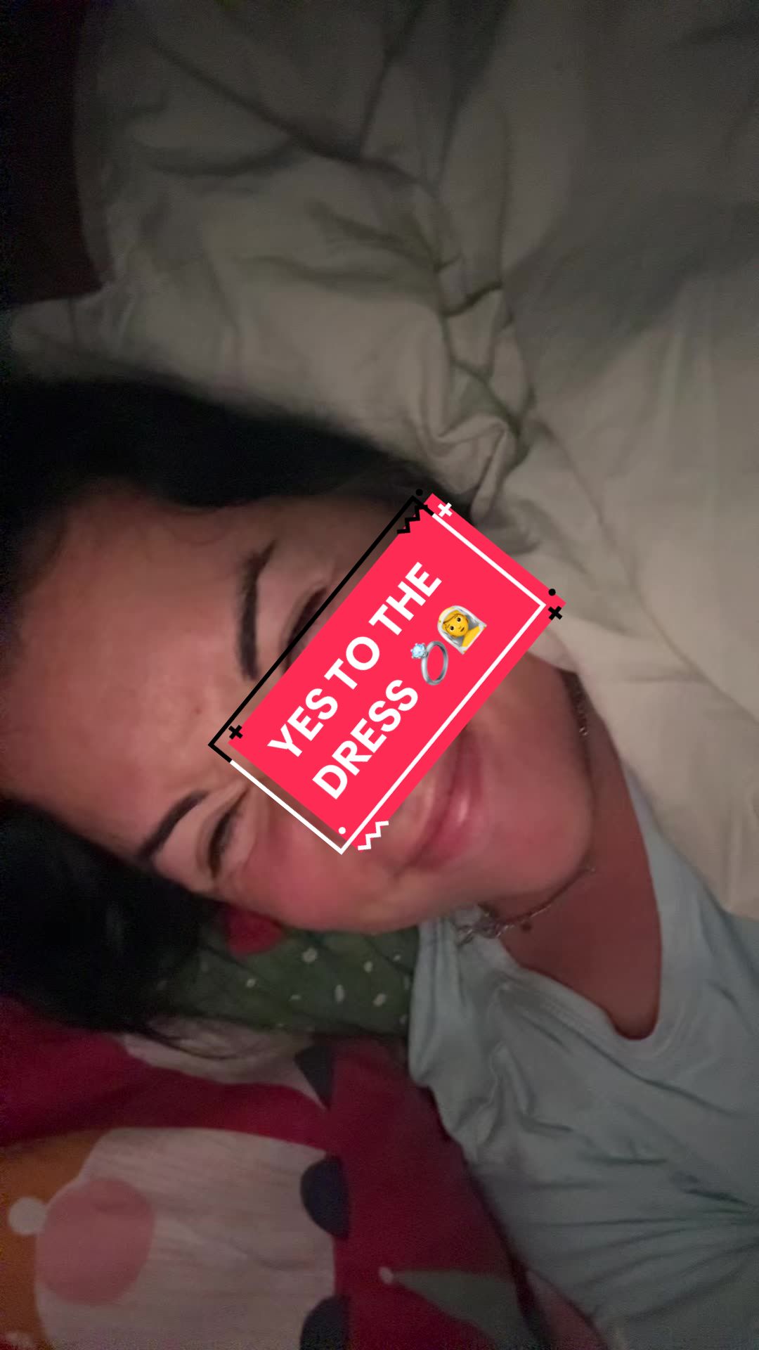 @Tabby 👑