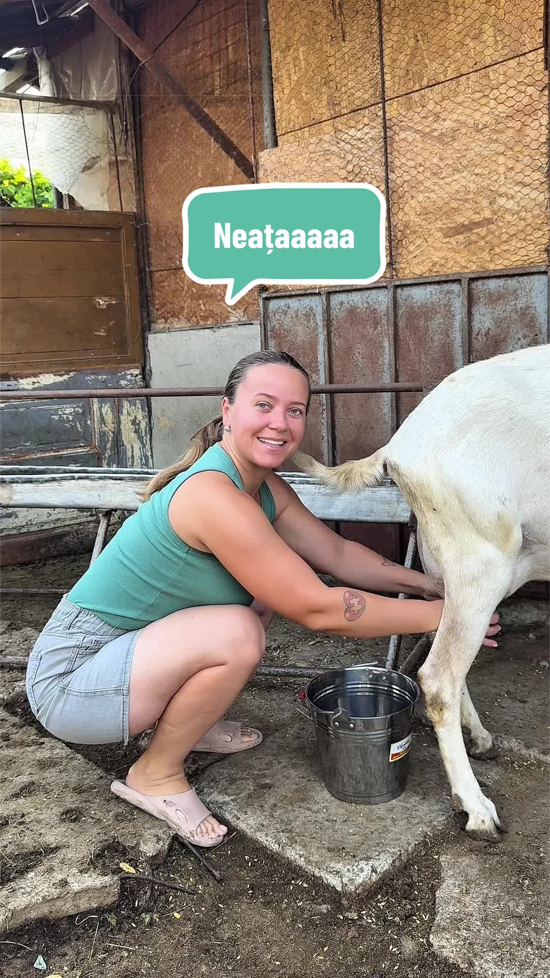 @OlteancaLuDi