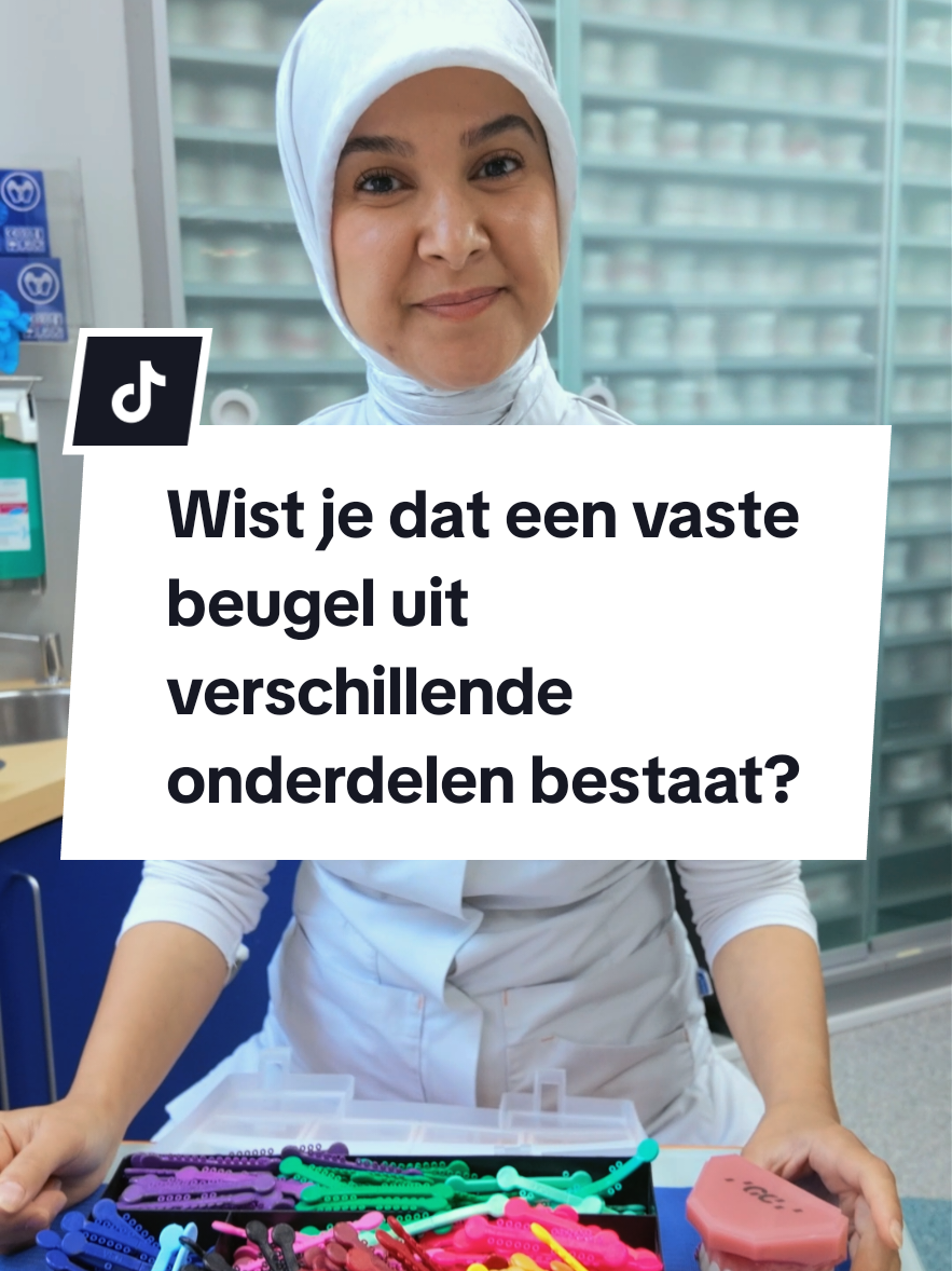 @Alfa-ortho-Schiedam