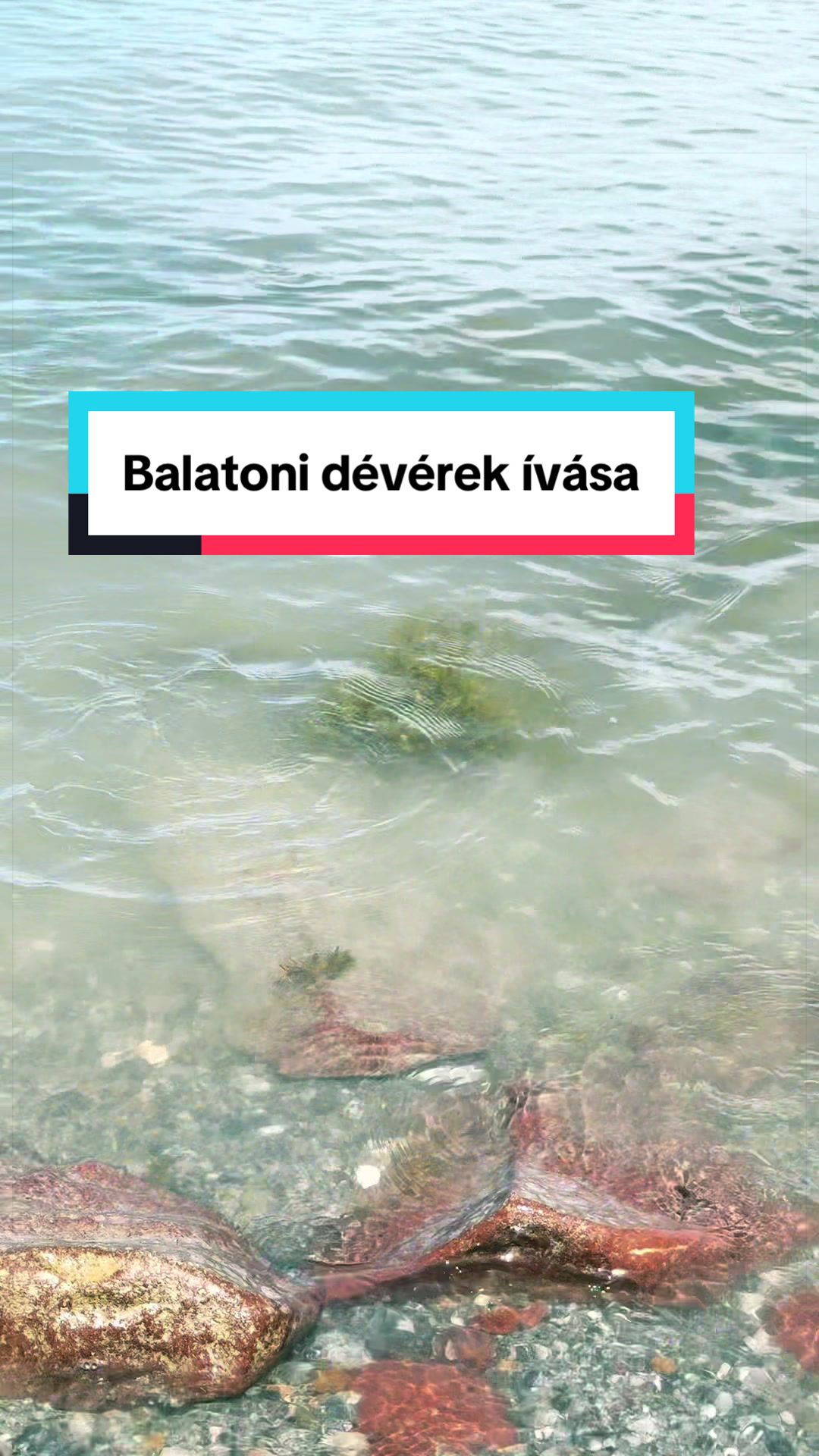 @D&ouml;me G&aacute;bor
