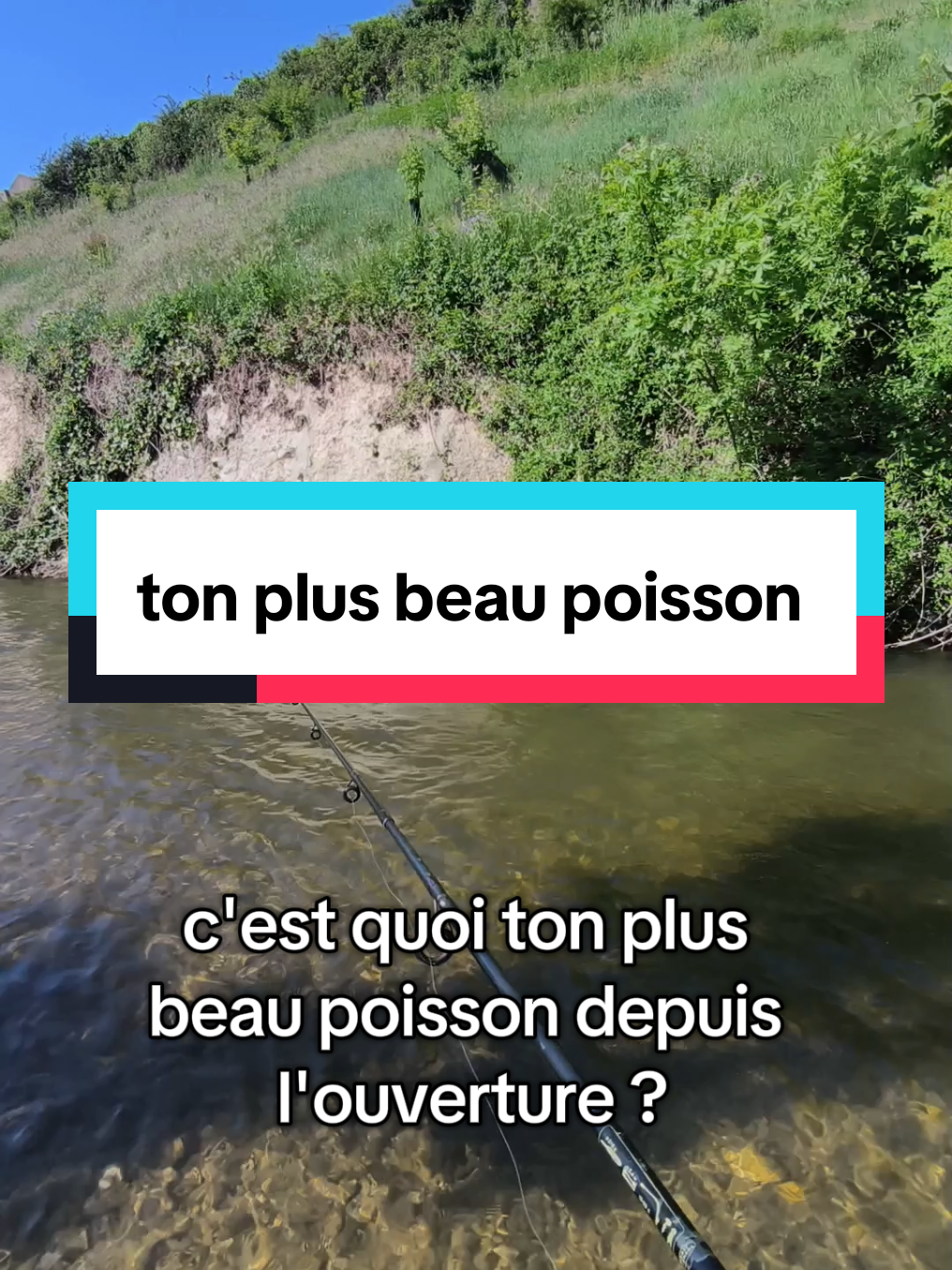 @flowfish