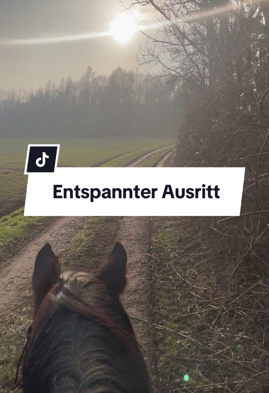 @reiterhofalteheld