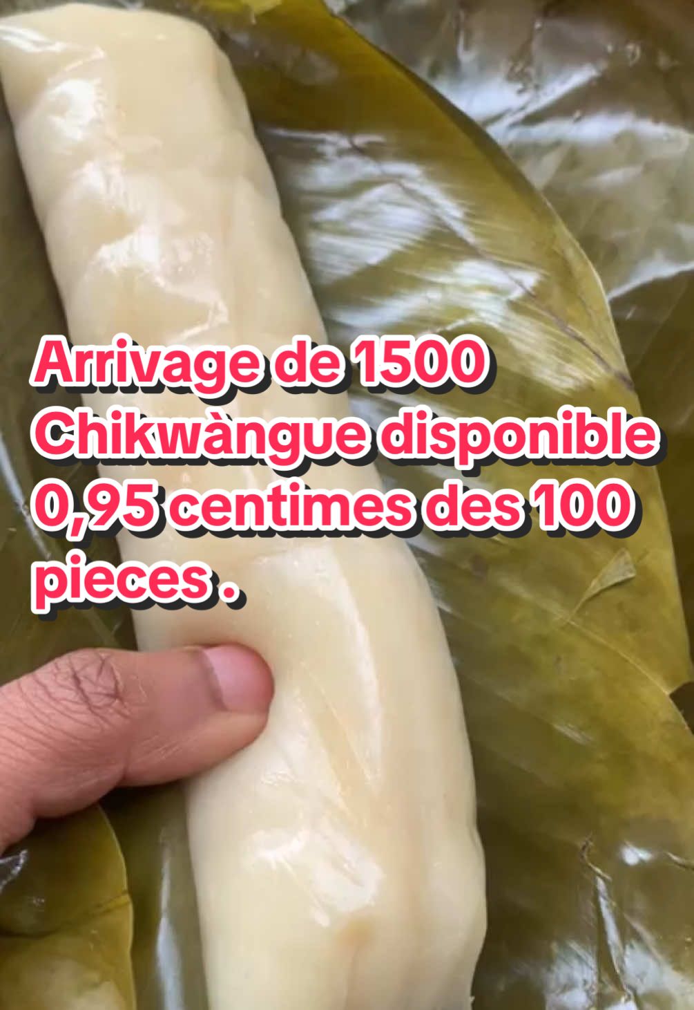 @kongoracines