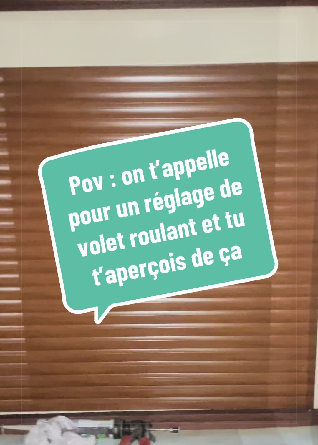@Stefane🦁