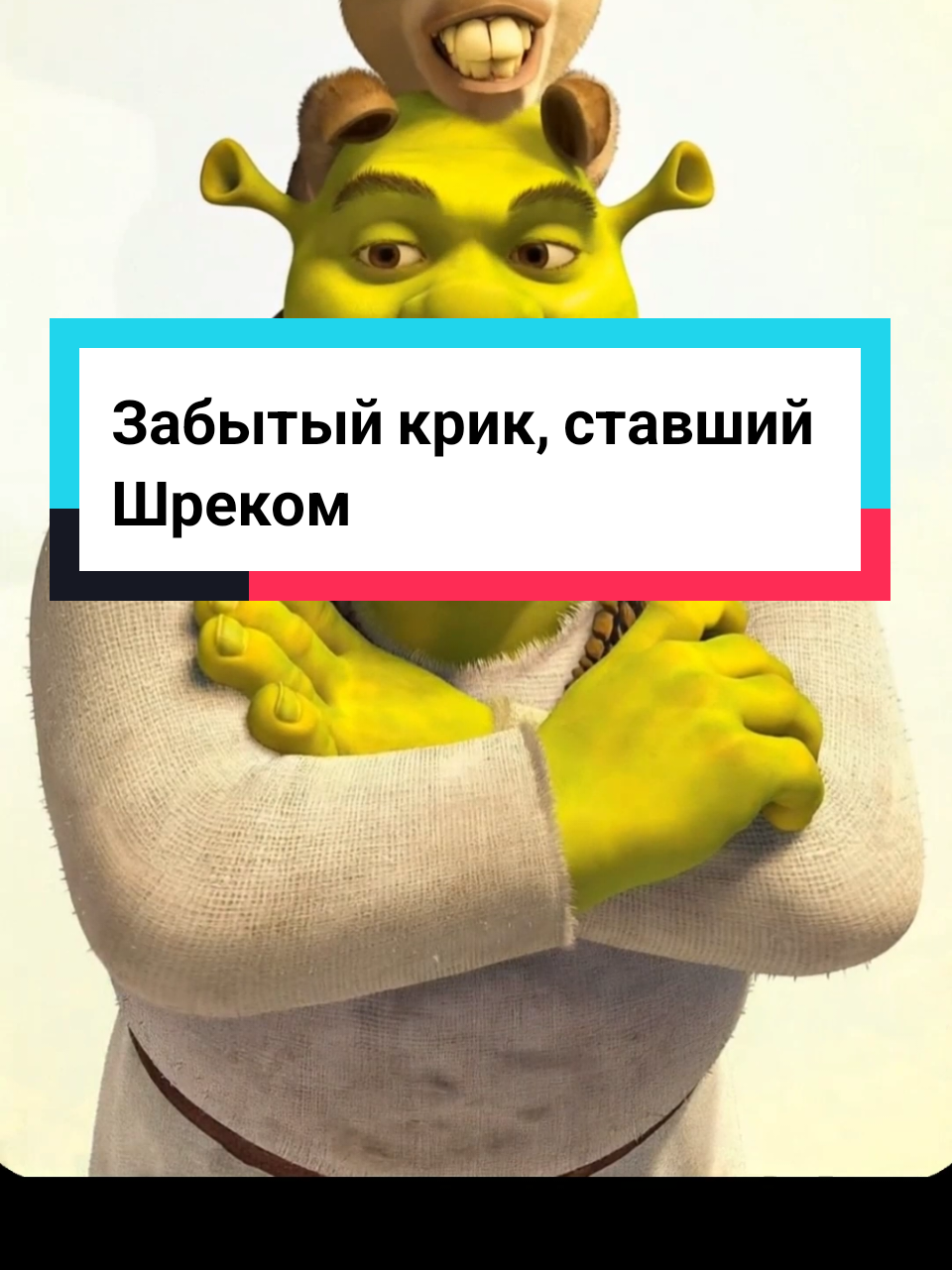 @forbidden stories