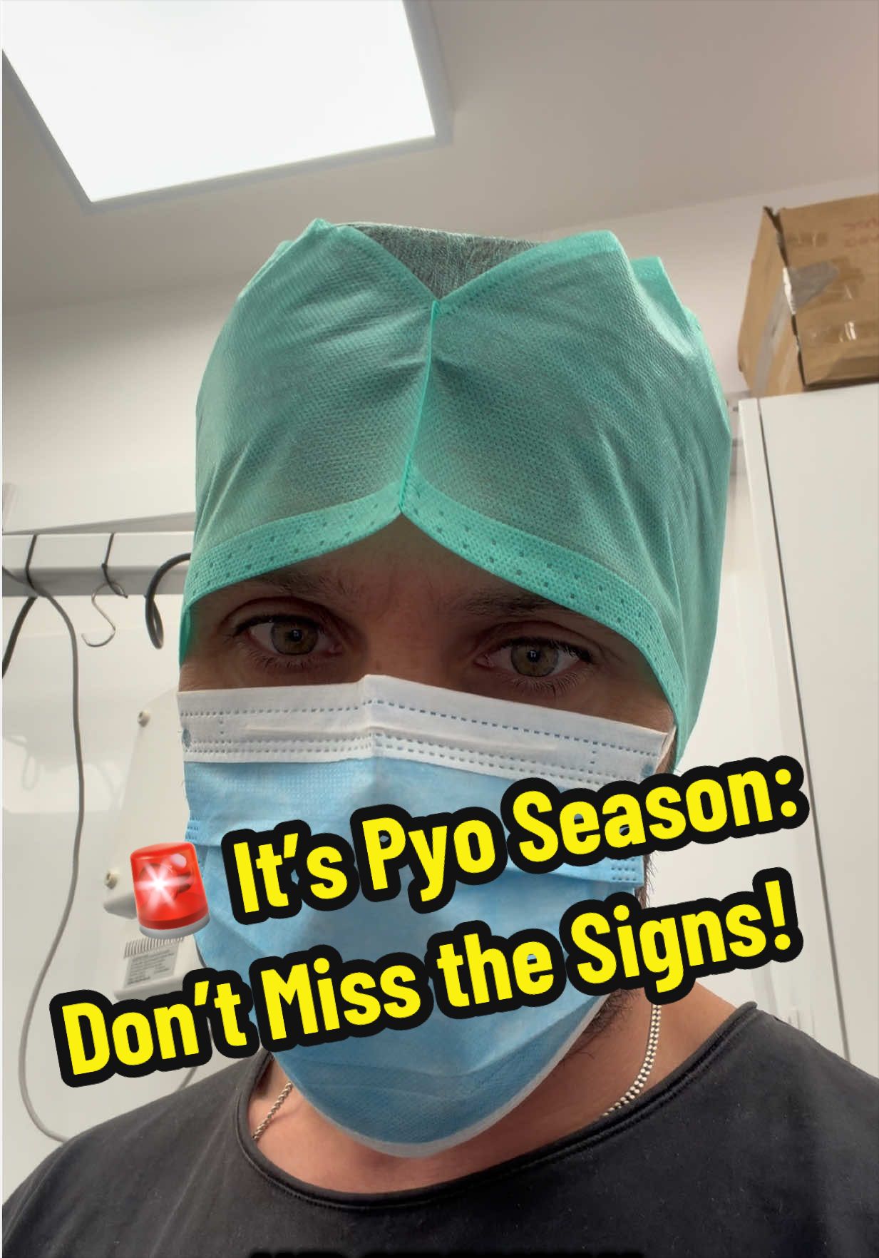 @Tomasthevet
