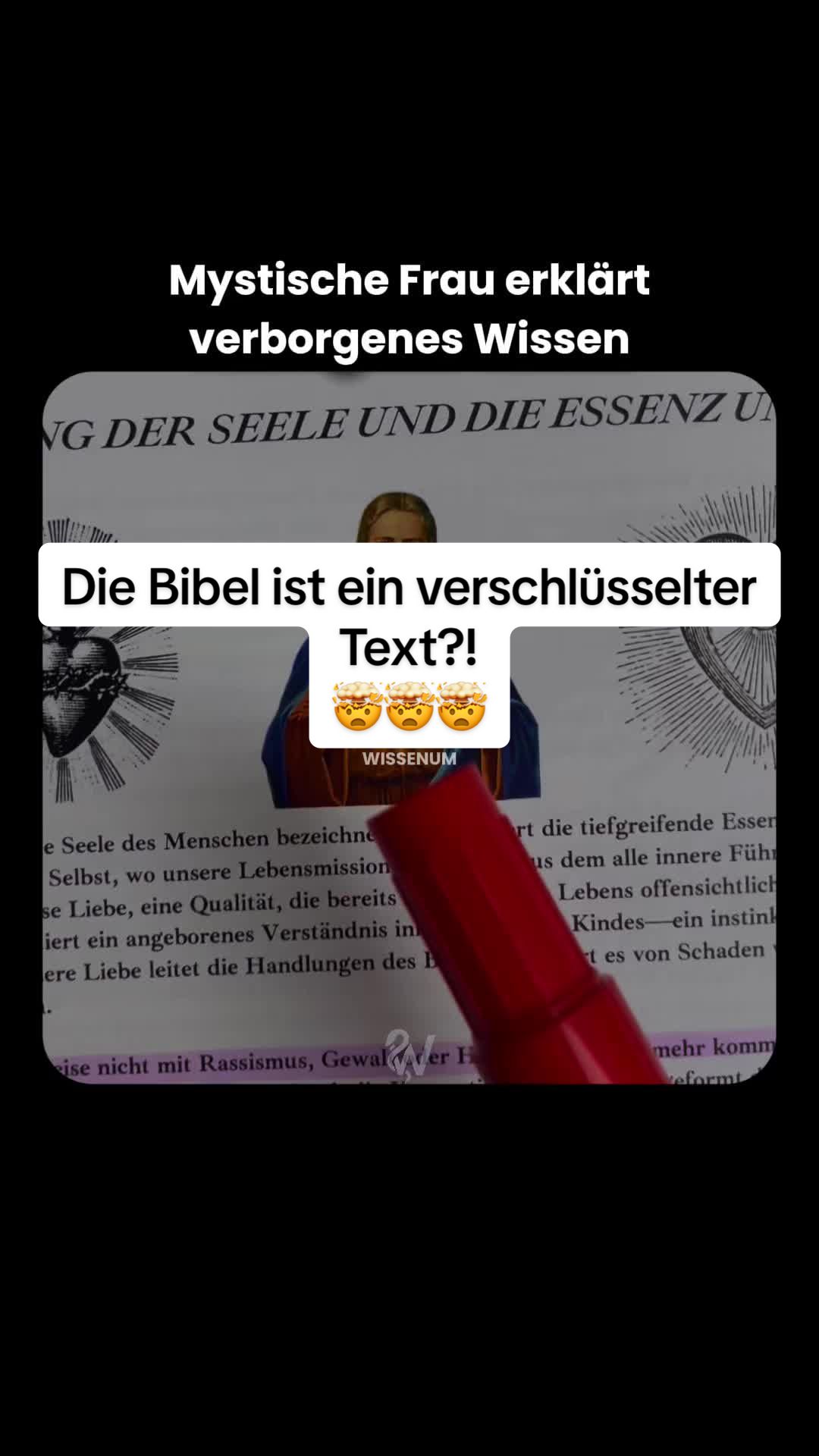 @thewissenum