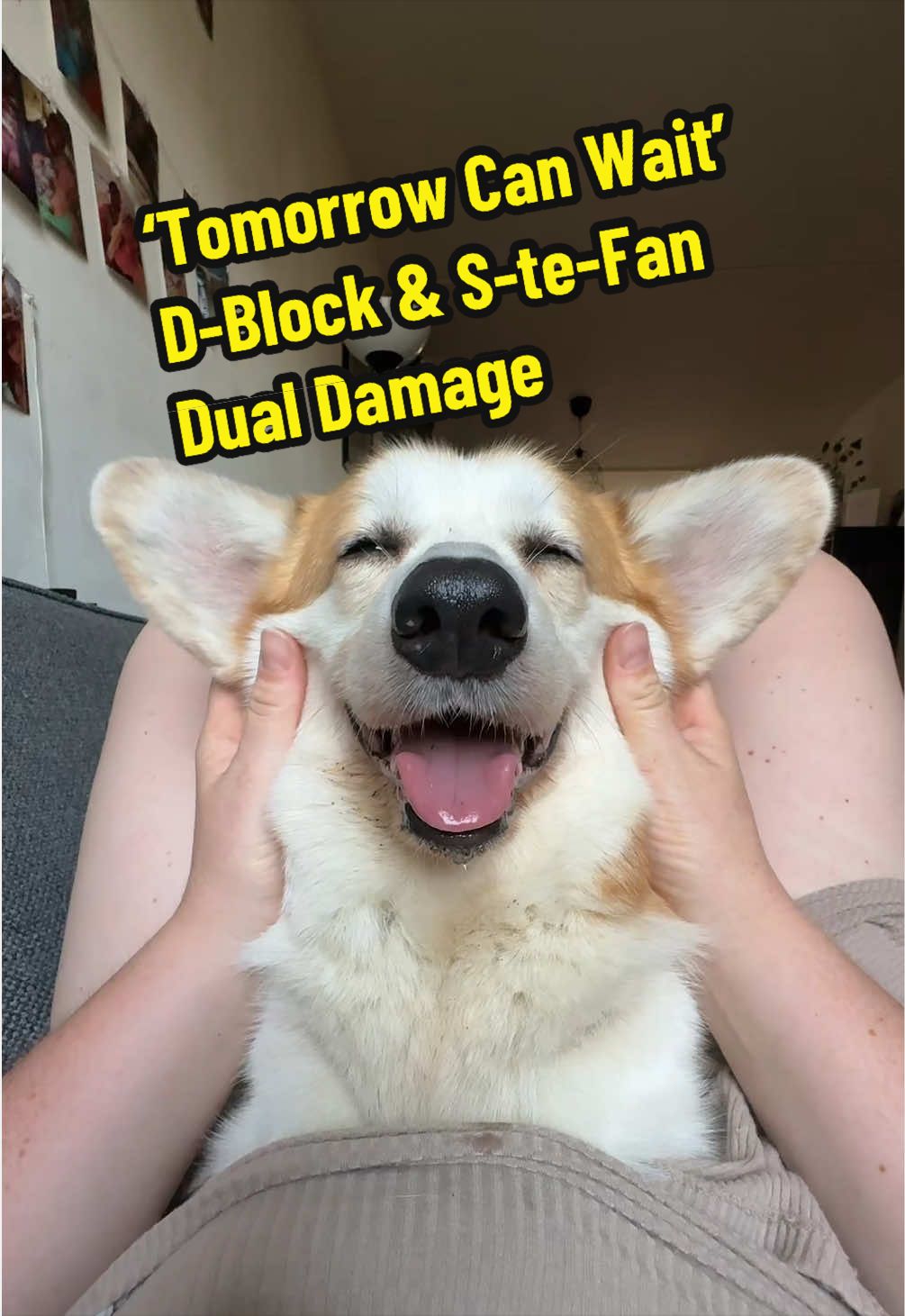 @Kickroll Corgi Charlie ๐ถ๐