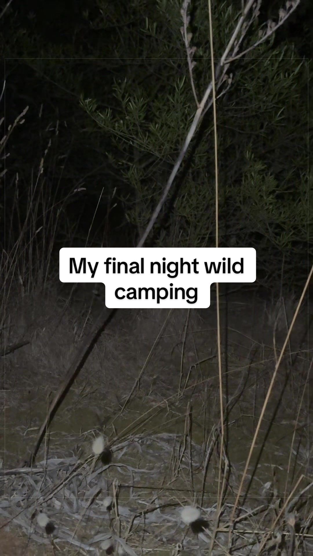 @Noah Supertramp