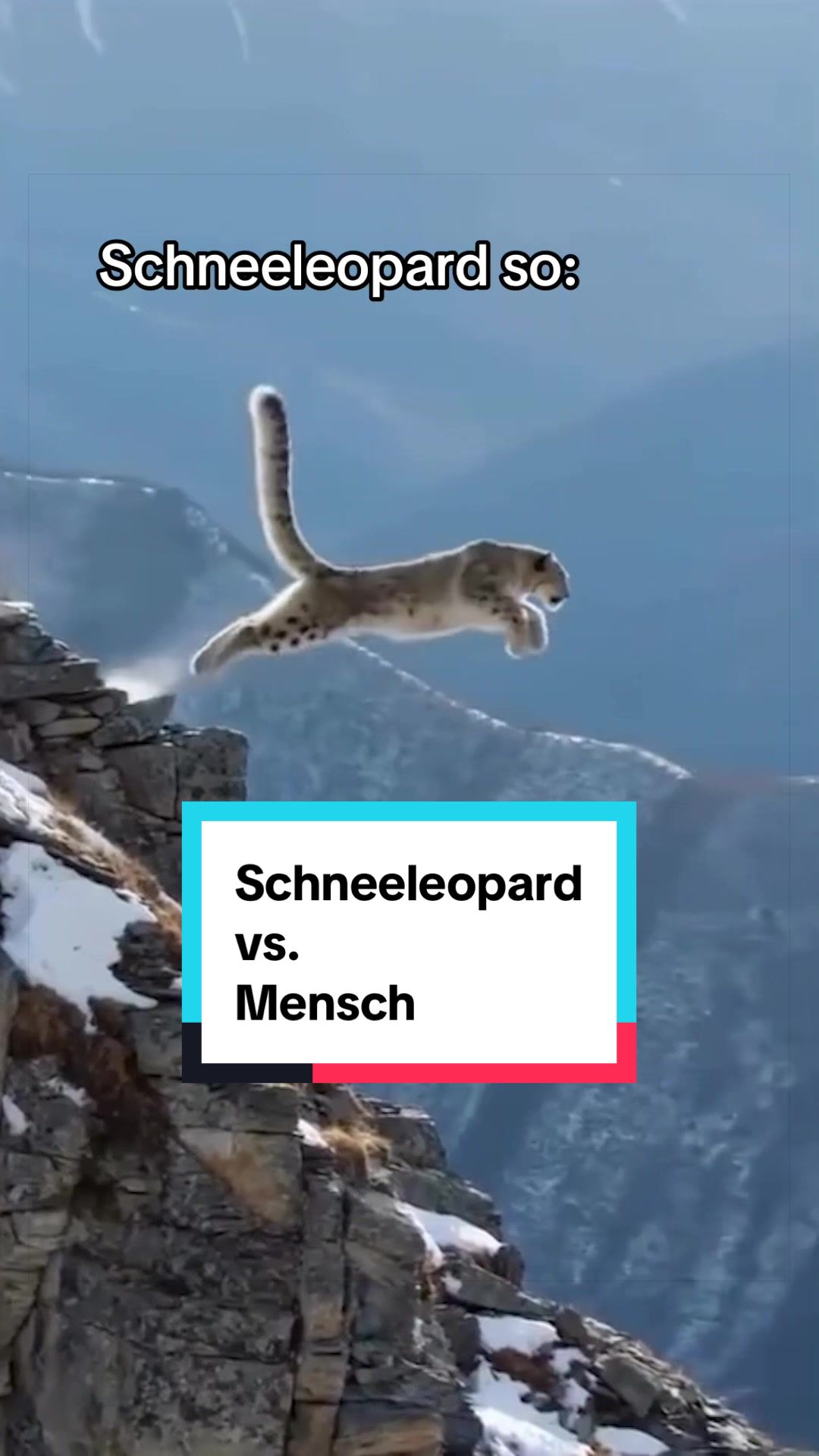 @WWF Schweiz