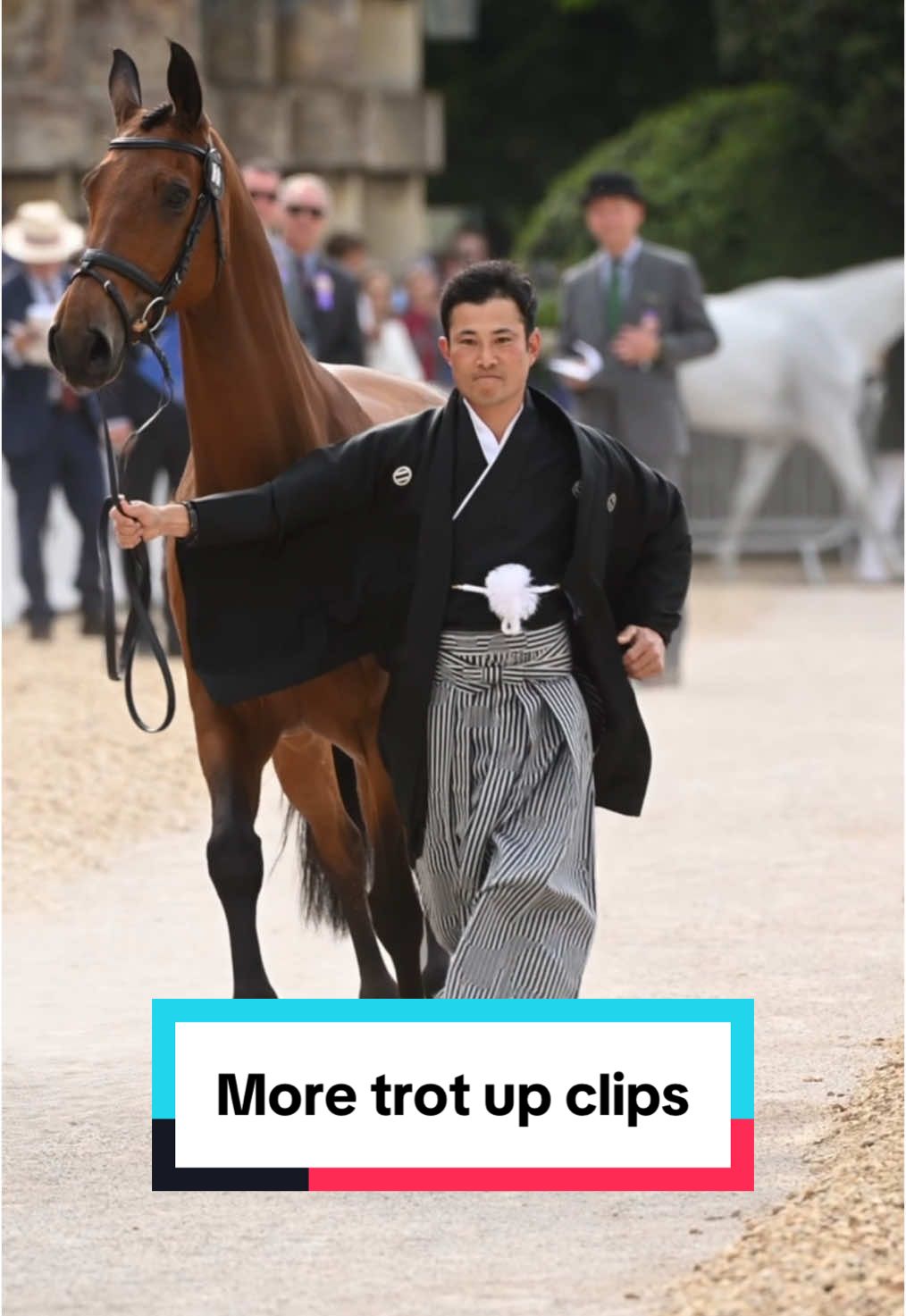 @Nico Morgan | Equine Media