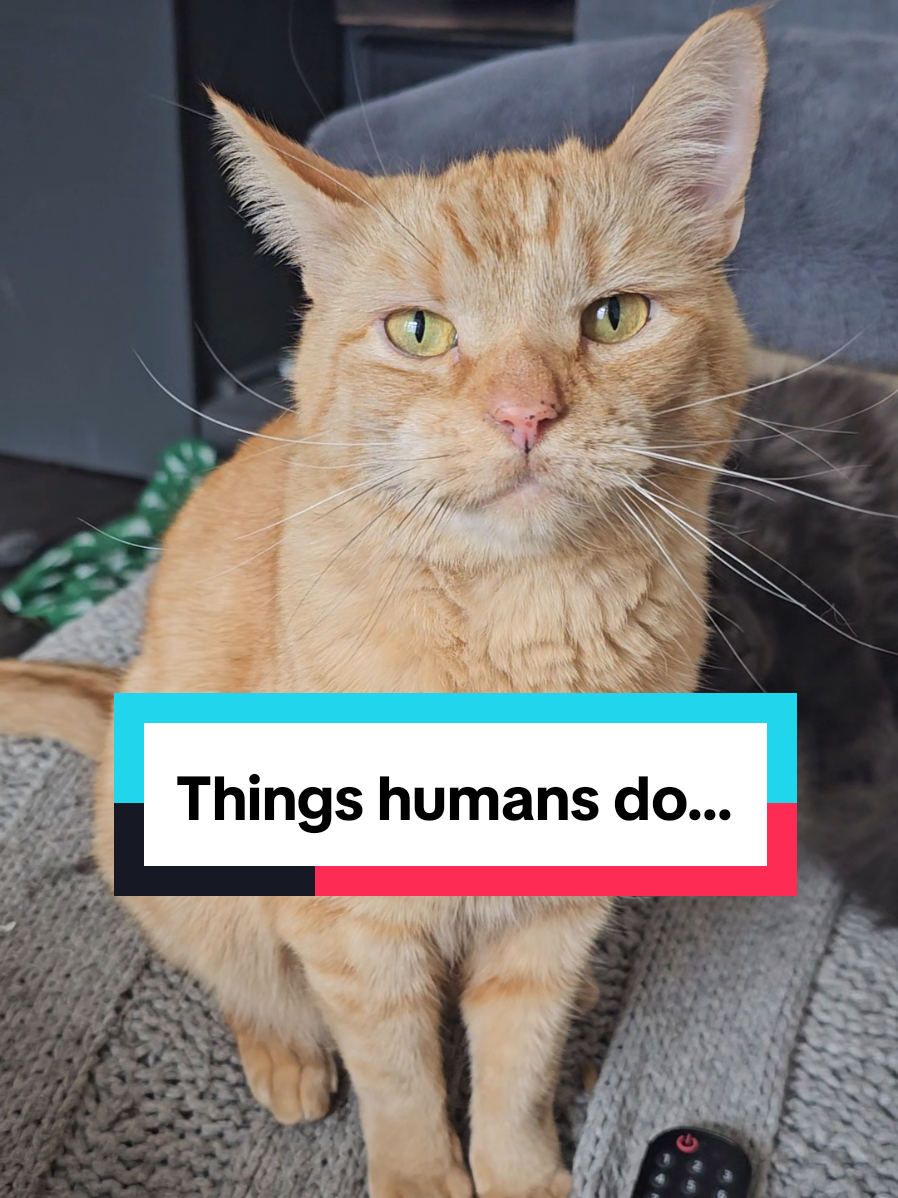 @Paws and Claws
