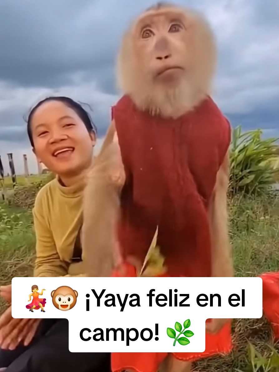 @monkeyYAYA