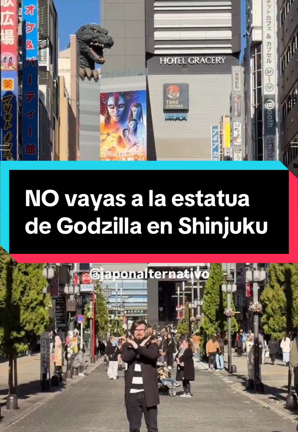 @Jap&oacute;n Alternativo