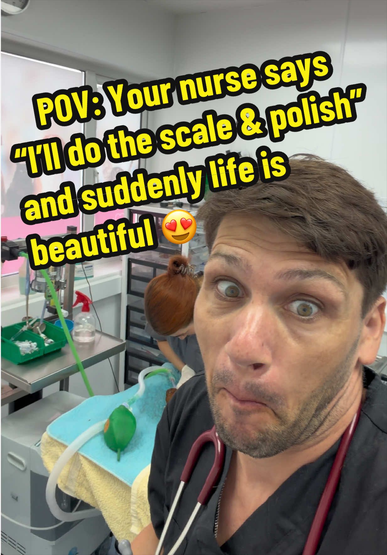 @Tomasthevet