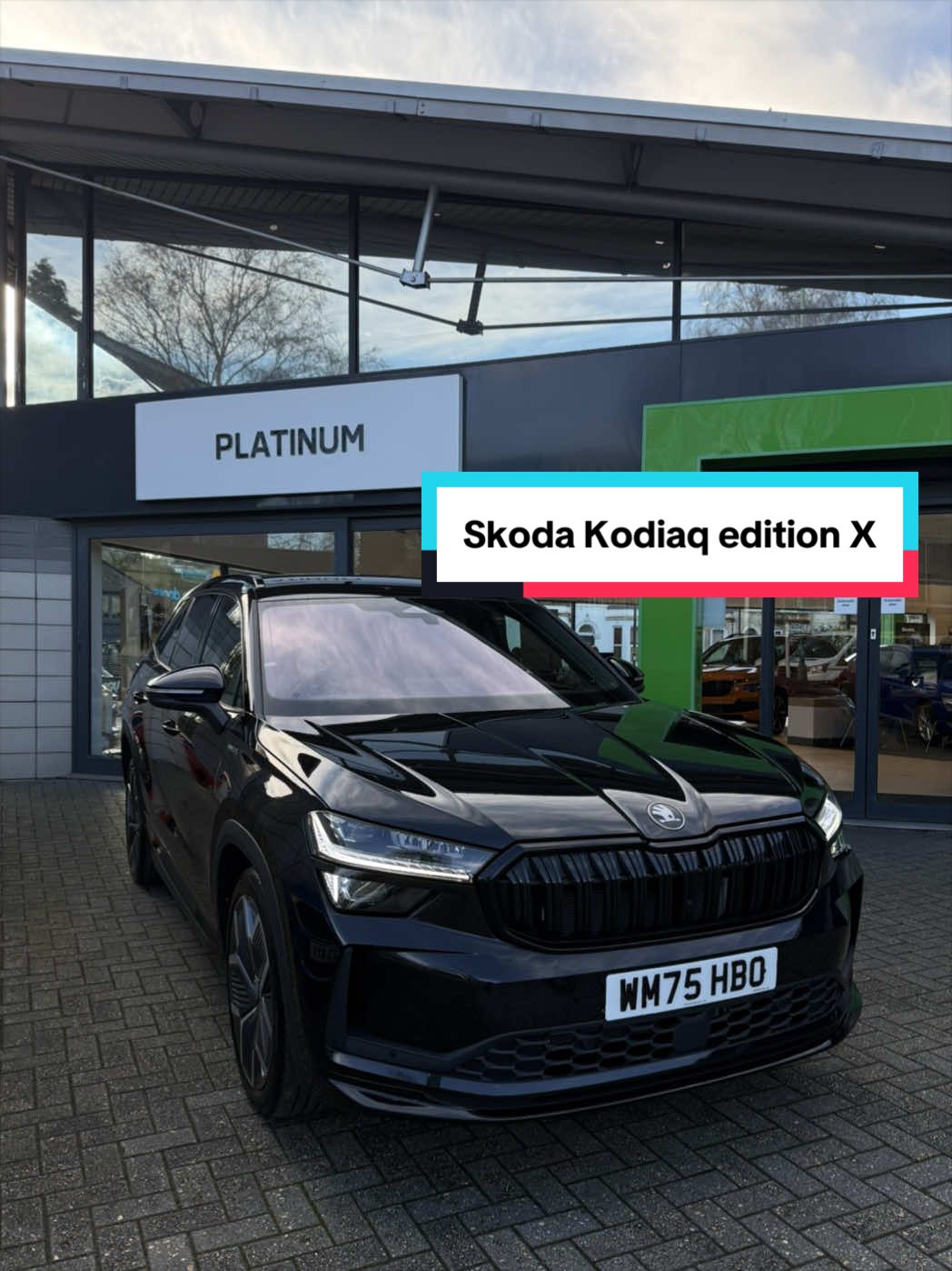 @Platinum Motor Group