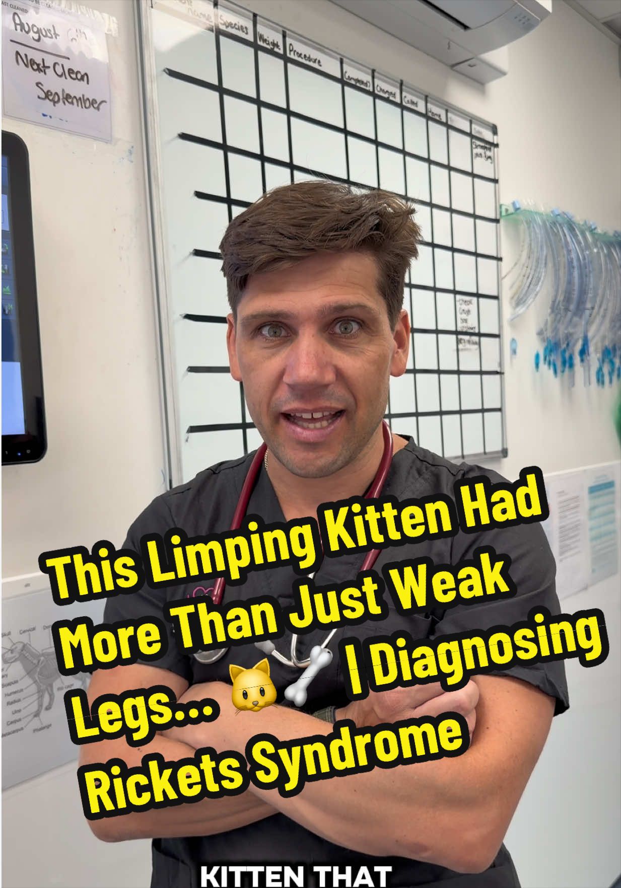 @Tomasthevet