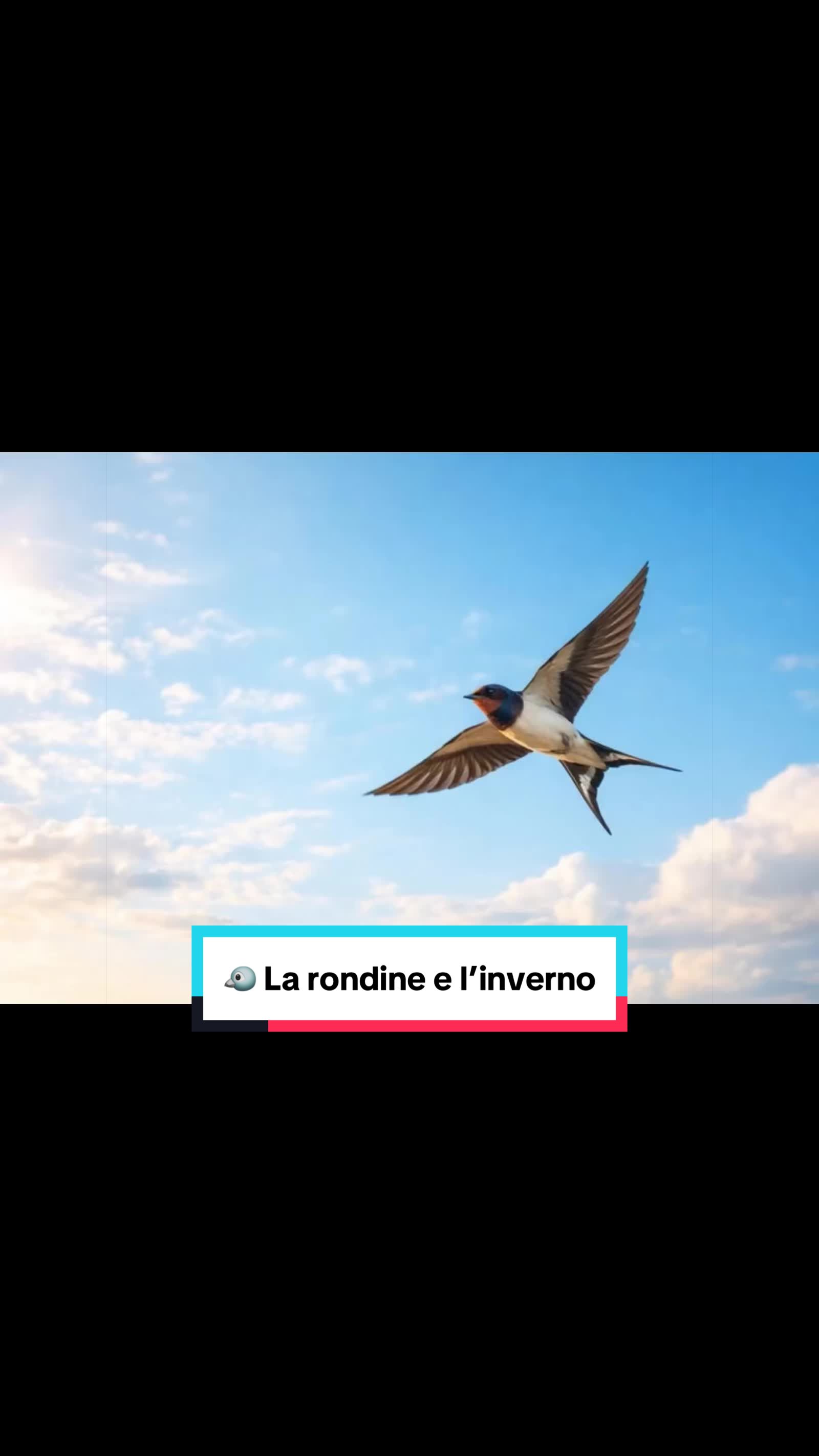 @Il mondo di Giorgia 🍭