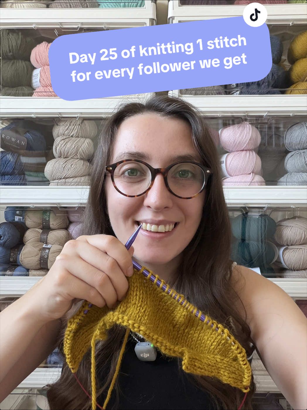 @The Yarn Nest
