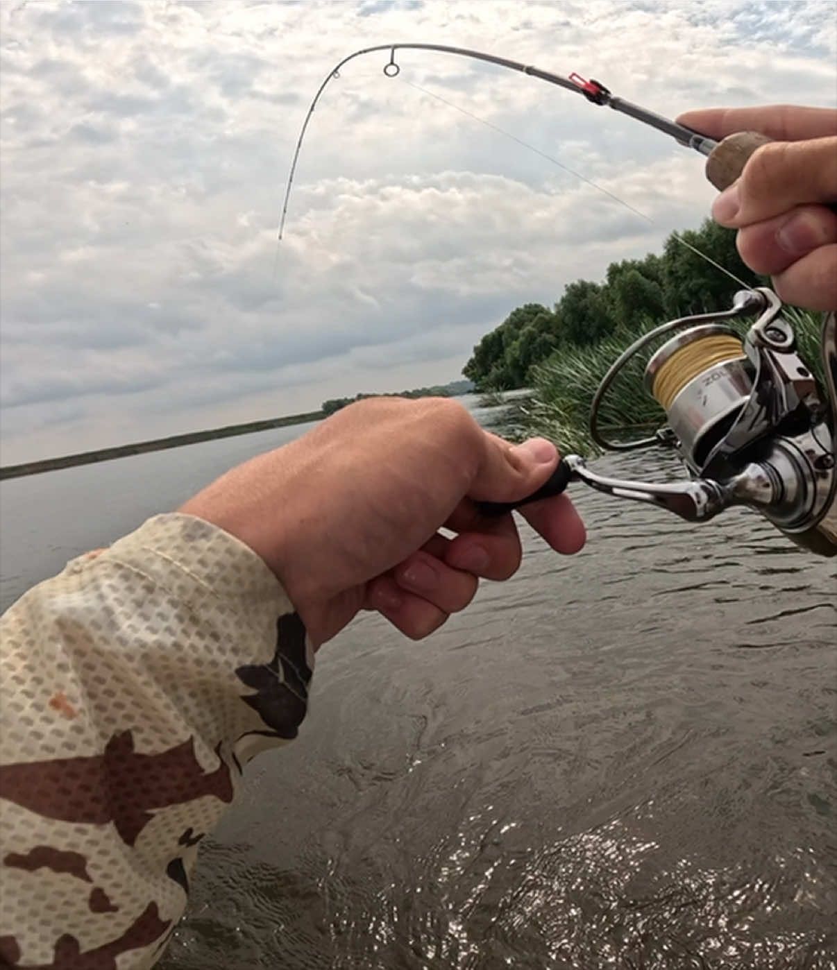 @FE_FISH