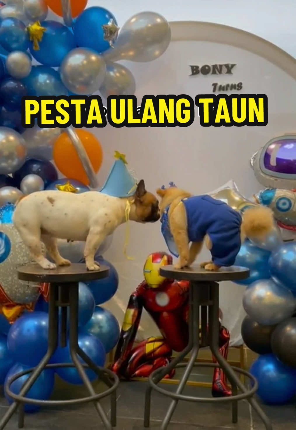 @PINAT SANJI